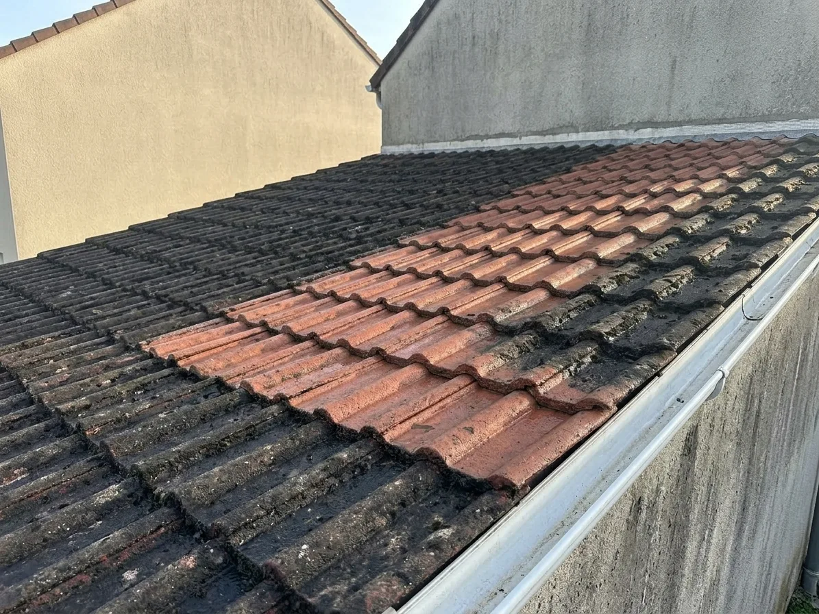 Démoussage de toiture à Champs-sur-Marne